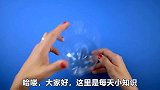 塑料瓶盖丢掉太可惜，只需简单改一改，成品放在家里都说好