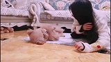 养狗狗的日常！有没有同款