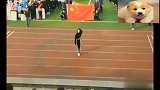 中学生跳Samsara, 全校师生尖叫沸腾到爆炸！