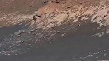 火星回传到地球的第一张照片，人类首次看到火星的面貌，这就是我们未来要移民的家园吗？火星 澳洲link