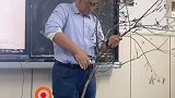 农业大学老师沉浸式教学，园林课上手把手教你修枝