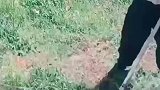 又是户外铲草的一天