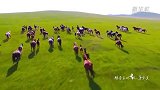 醇香马奶 小康味道