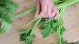 芹菜加1块豆腐，最近我家天天吃，鲜香入味，开胃下饭，上桌就光