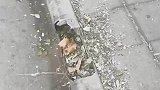 马路牙子造假，简直不敢相信