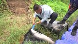 到手的大青鱼，还没捂热乎就这样跑了，大叔很是尴尬啊