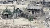 农村老家可是个好地方，有人愿意这样的隐居吗