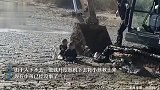 2名男孩陷淤泥男子开挖掘机施救，知情人-淤泥很深，孩子没事