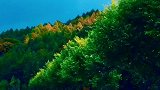 人生路上，虽有风风雨雨，但也有一路风景。