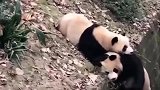 看到最后，像不像爱情一样你找我，这操作我给满分！