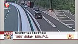 安全驾驶：“路怒”危害大 别开斗气车