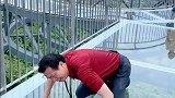 害不害怕不重要，演技得到位！