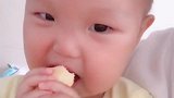 捕捉一个忍不住提前偷吃的宝宝！