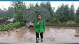 农村四哥：农村赶场，很热闹哦