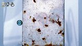 太空中既没有空气也没有水，为什么金属还会被氧化？