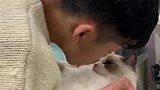 过年在家的真实状态，你们是这样吗？吸猫 布偶猫 新年快乐 无聊 武汉加油
