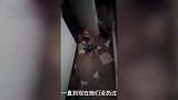 两女大学生毕业租房留下满屋垃圾后离开，房东：刚装修好的新房，还拖欠了水电费