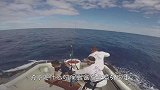 男子作死试验，将手臂伸入大鱼口中，不料竟被一口吞下！