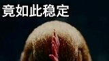 无论怎么摇晃小鸡的身体，它的鸡头依然稳定不动