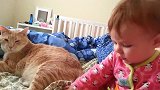 小宝宝饿馋了，居然抓起猫尾巴啃起来了，太逗了