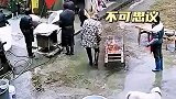 猪居然跳井了，太不可思议了