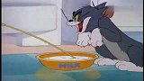 猫和老鼠：自从家里来了客人，却把自己害惨了，总是被同类出卖