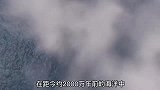 地球数一数二的掠食者，巨齿鲨到底有多可怕