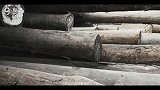 巴新木的钱途末路②跨国木材贸易追踪视频调查报道