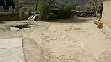 农村美丽的风景朴实的生活