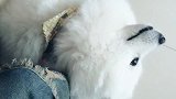 爱撒娇卖萌小妞子