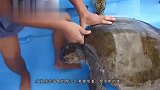 一只海狮苦苦挣扎,好心男子驾船靠近,马上展开了救援！