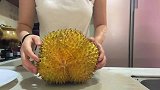 105块买回来的榴莲、开口了打开还没熟，你觉得要怎么吃