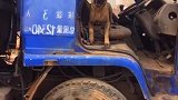 之前老爸和虎子一块跑的车