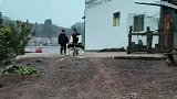 女子坐小孩的单车，才滑下坡后轮就报废