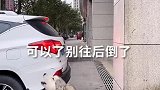 养狗千日，用狗一时