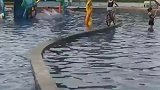 高手在民间，骑了30年单车算是白骑了！