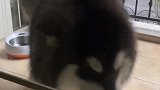 闺女果然是小棉袄