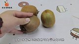 猕猴桃上插一根牙签，效果真是太厉害了！一般人还不懂，真是太亏