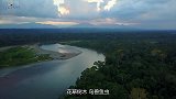 中国鸟出现在美国纽约中央公园，引起全城围观，美国人：太漂亮了
