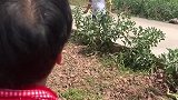 还是算了...