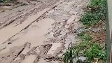 思考一天，后天娶亲，你猜会发生什么