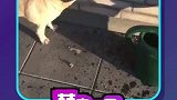 咱也不知道咱也不敢问