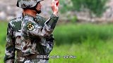 退伍军犬被确认无用后，处理方法让人心疼，看完眼眶红了