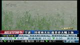 宁波：持续雨天后 蔬菜价大幅上扬-6月23日