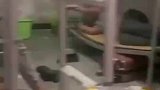 这行李箱承担了太多太多