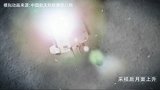 12月3日23时10分，嫦娥五号上升器点火起飞，成功将携带样品的上升器送入到预定环月轨道。