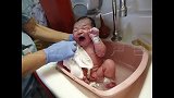 新生宝宝蜷缩在盆子里像只猫一样，柔弱无助的样子惹人怜爱
