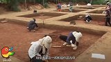 村庄挖出千年古墓，内部景象让人惊恐，墓主人身份不简单！