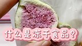 对冻干也只了解皮毛~欢迎一起交流呀~宠物 萌宠 仓鼠