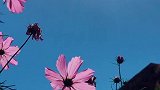 美丽的，不仅仅是季节，更是心情！